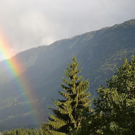 Гостевой дом Gaestehaus Bachmann 3*