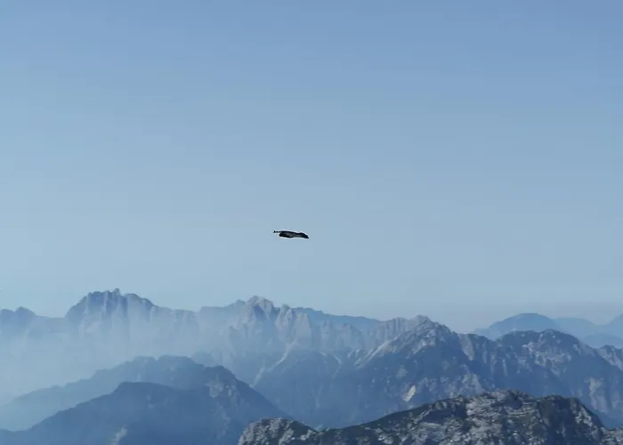 Affittacamere Gaestehaus Bachmann